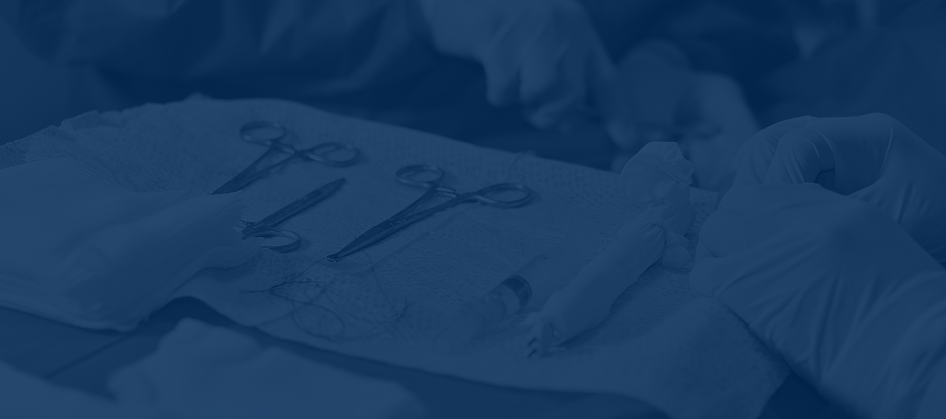 Supply Chain Efficiency